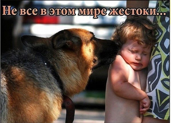 Миша Ферубко