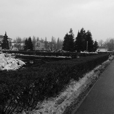 Сергей Жнакин