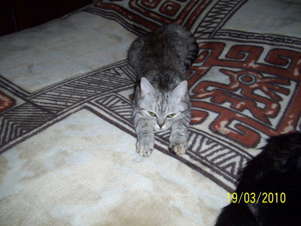 Mi-Mi Неизвестно