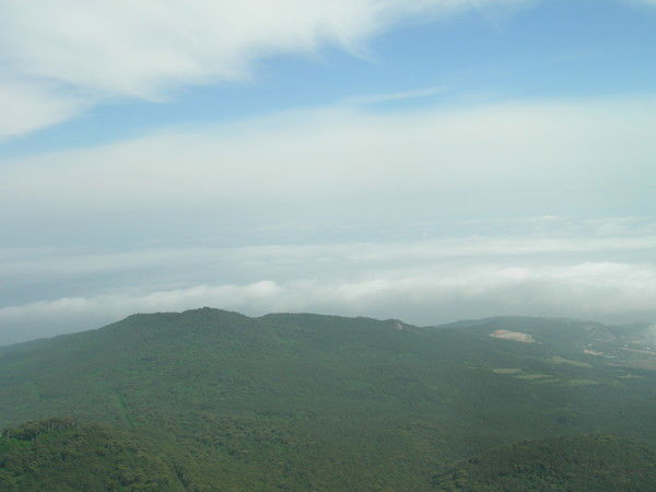 Светлана Стоцкая