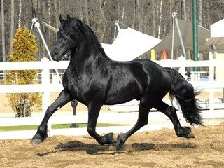 Канат Малайбеков