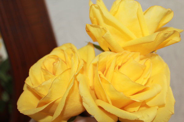 Айгерим Ашимова