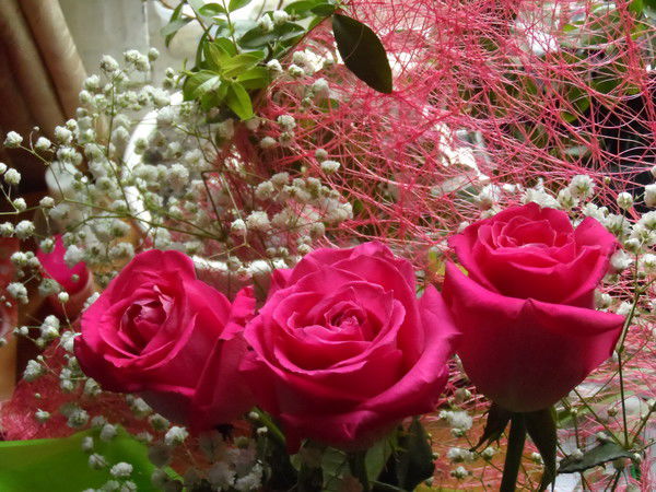 Елена Лукьянова