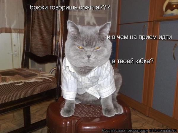 Антон Шлеенков