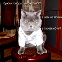 Антон Шлеенков