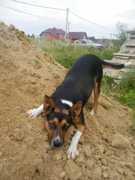 Друг Всех Друзей