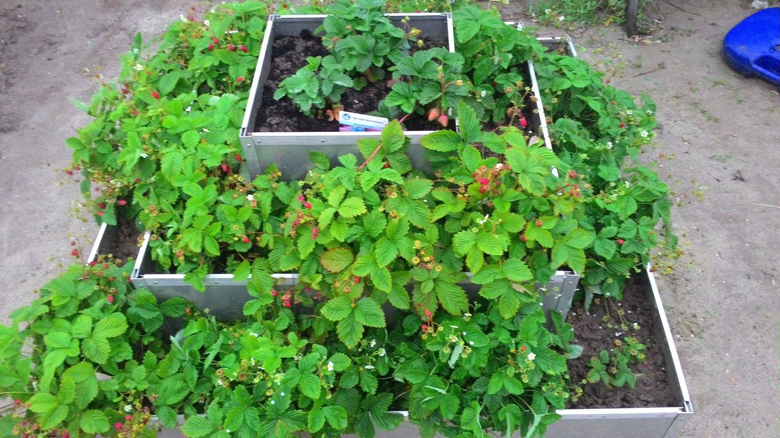 Оксана Кремер