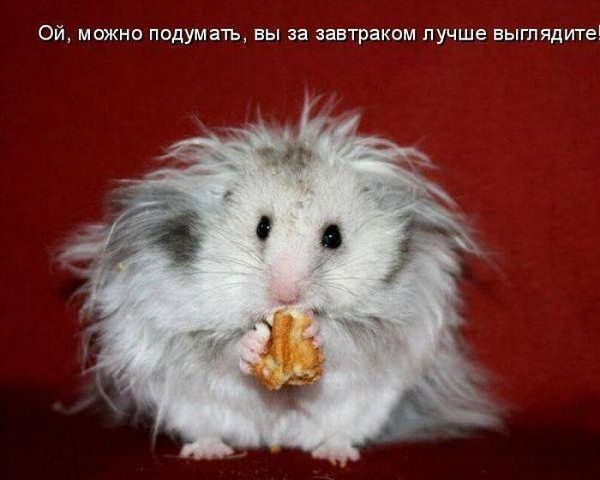 Экономисты Онкодиспансер