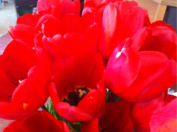 Варюшка Аршинова