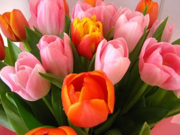 Разуда Гапсаламова