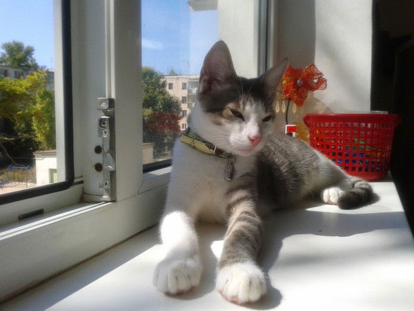 Олег Панкратов