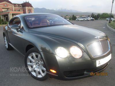 Александр Сапегин