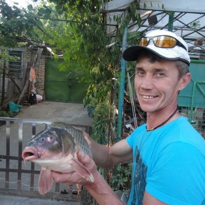 Виталий Писаревский