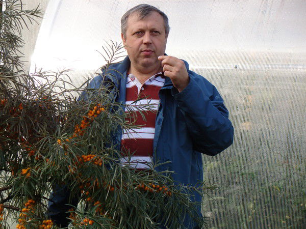 Олег Кошелев