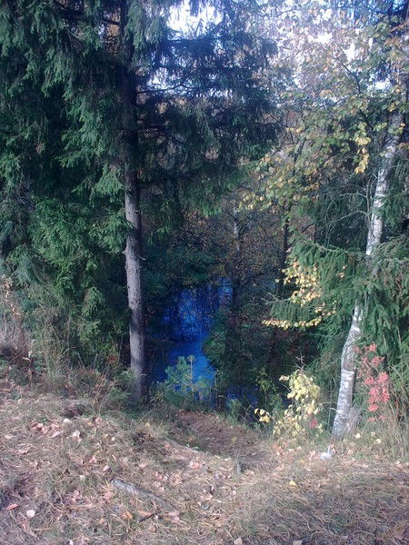 Зульфира Суроегина