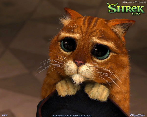 Серёжа Данильчук