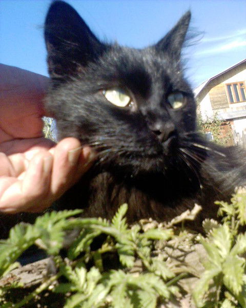 Владимир Панфиленков