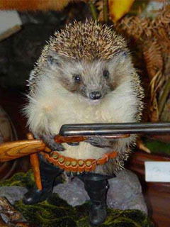 Сергей Сергеевич