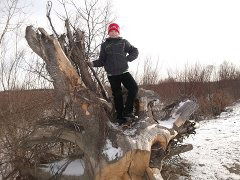 Вячеслав Неклюдов