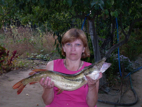 Ольга Зотова