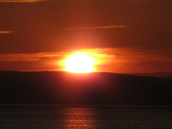 Виктория Номогоева