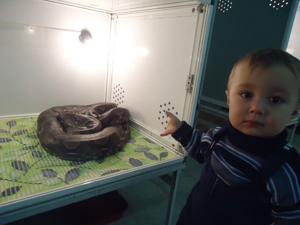 Наталья Коровина