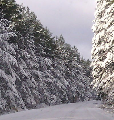 Катя Опекунова