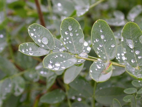 Марина Марухина