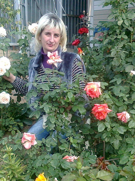 Елена Писакина