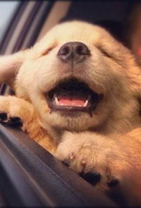 Ажмамбет Темиров