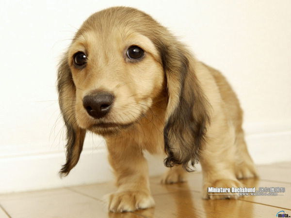 Владимир Захаров