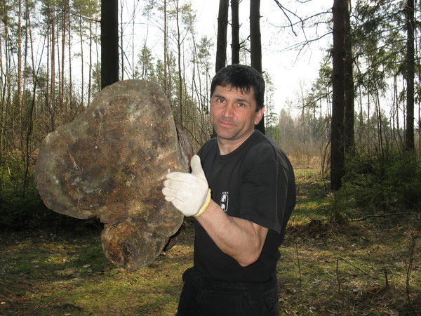 Владимир Сафонов