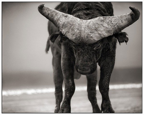 Зюзяков Павел