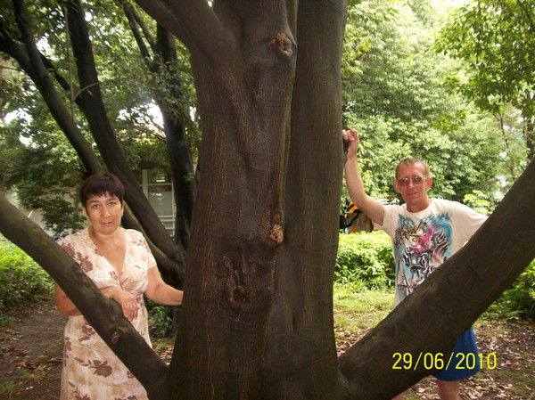 Сергей Ганин