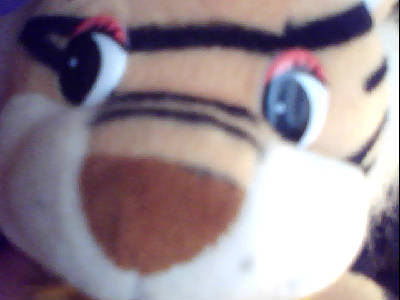 Юра Квиташов