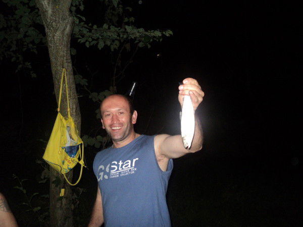 Владимир Плиев