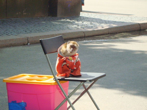 Марина Ерохина