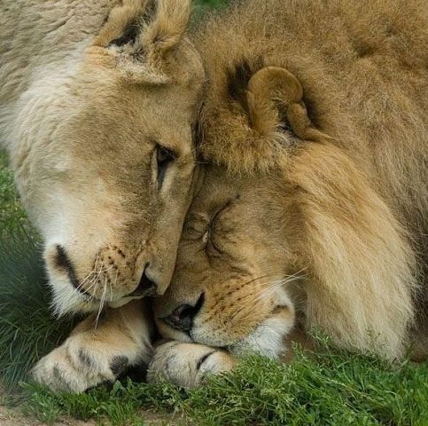 Jena Muslima Nitalieva