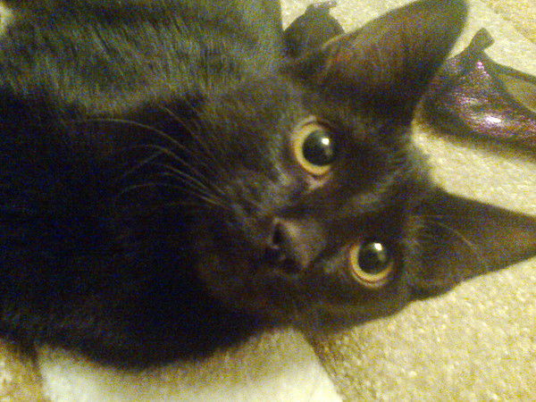 Даулет Кусаинов