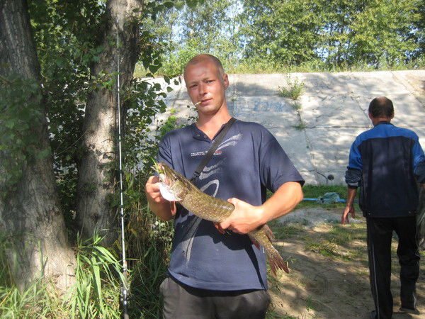 Денис Старосвитский