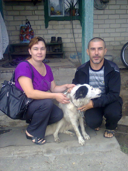 Владимир Шиферштейн