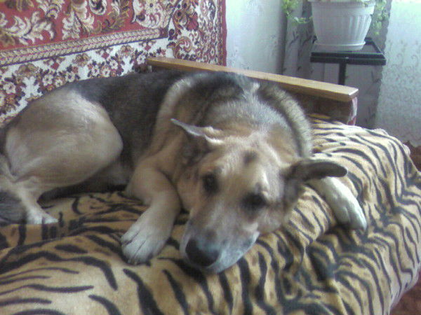 Наталья Езута