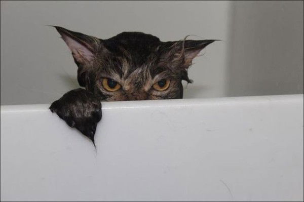 Ирина Автомонова