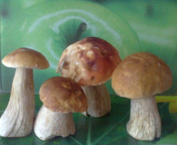 Анна Измайлова