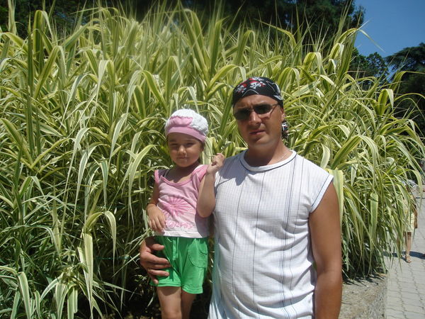 Наиль Бикбулатов