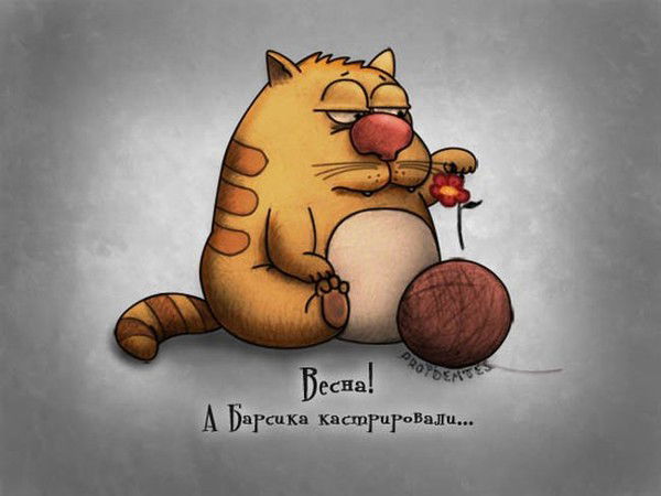 Алексей Маг