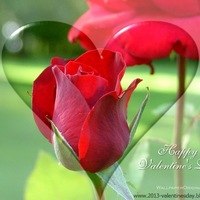 Ольга Мороз