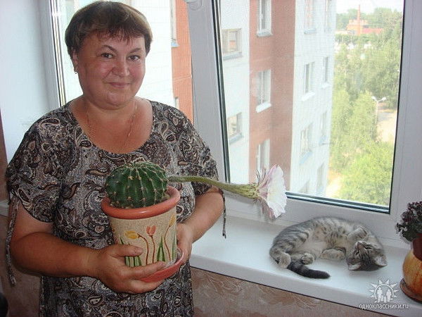 Любовь Шумакова