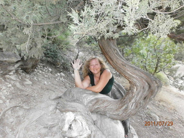 Инесса Веселова