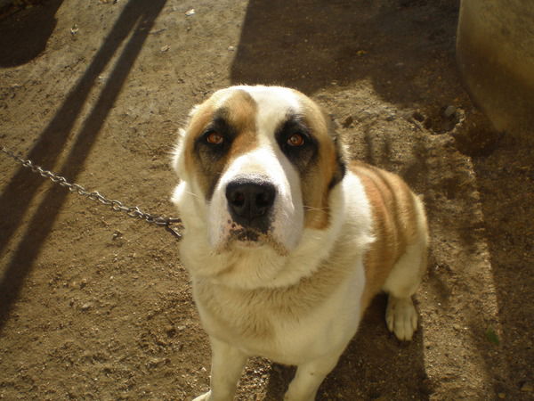 Сергей Журавлев